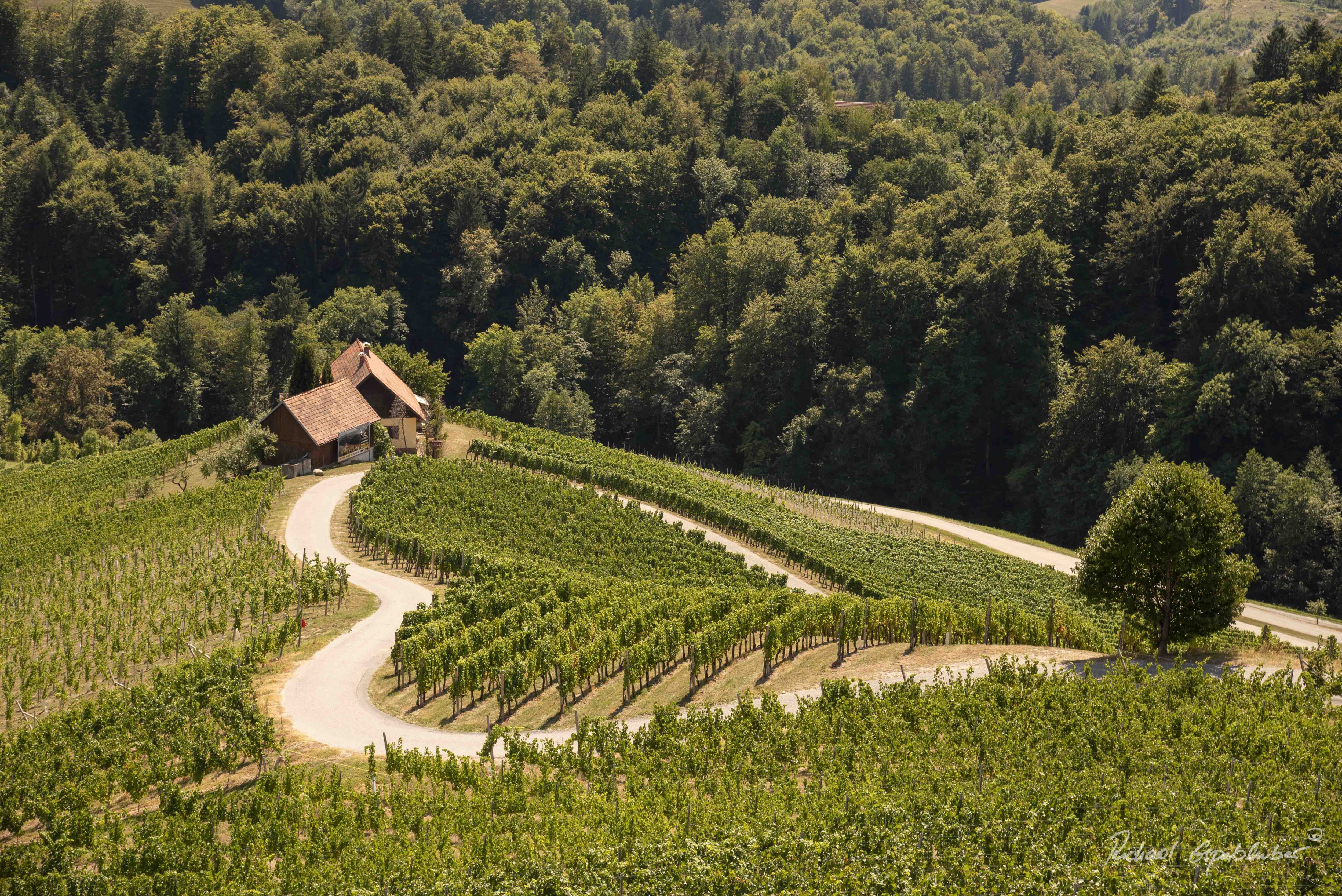 Dieses Bild hat ein leeres Alt-Attribut. Der Dateiname ist Slowenien-2347-5000x3338.jpg